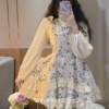 Lolita Kawaii Floral Patchwork Vintage Mini Dress 1
