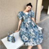French Vintage Print A-line Puff Sleeve Fairycore Retro Dress 6